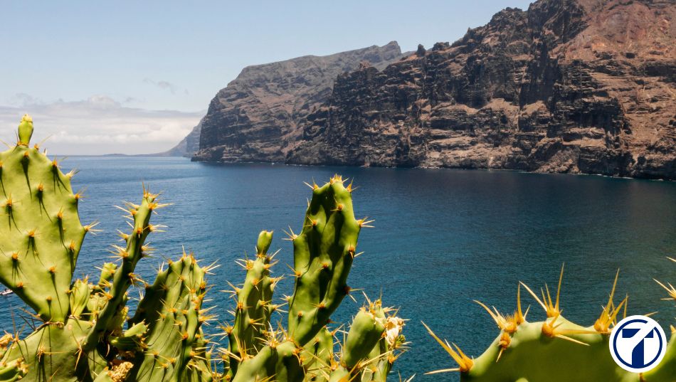 Tipos de IGIC en Canarias 2026
